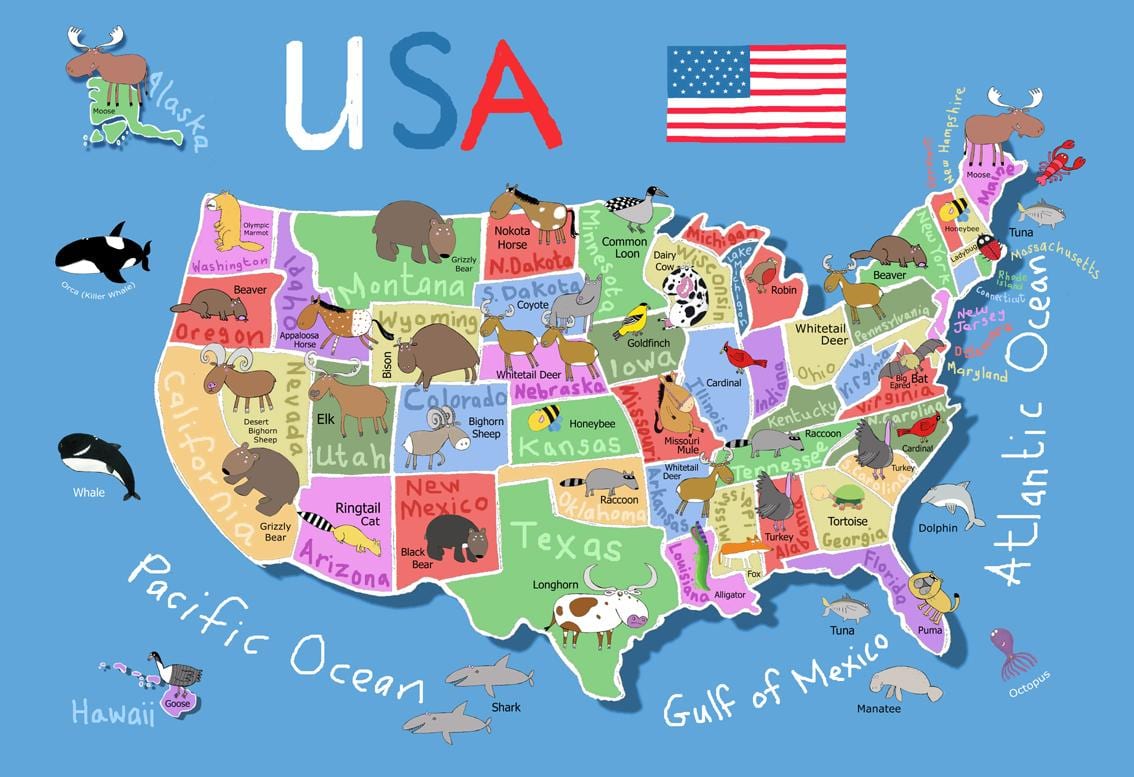 mapa de Estados unidos para los niños