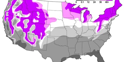 La nieve mapa de estados UNIDOS