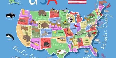 Mapa de Estados unidos para los niños