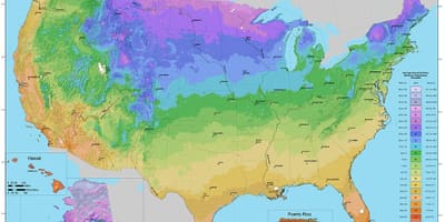 Planta del Usda mapa de zonas de rusticidad