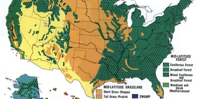 Mapa de los estados unidos bosques